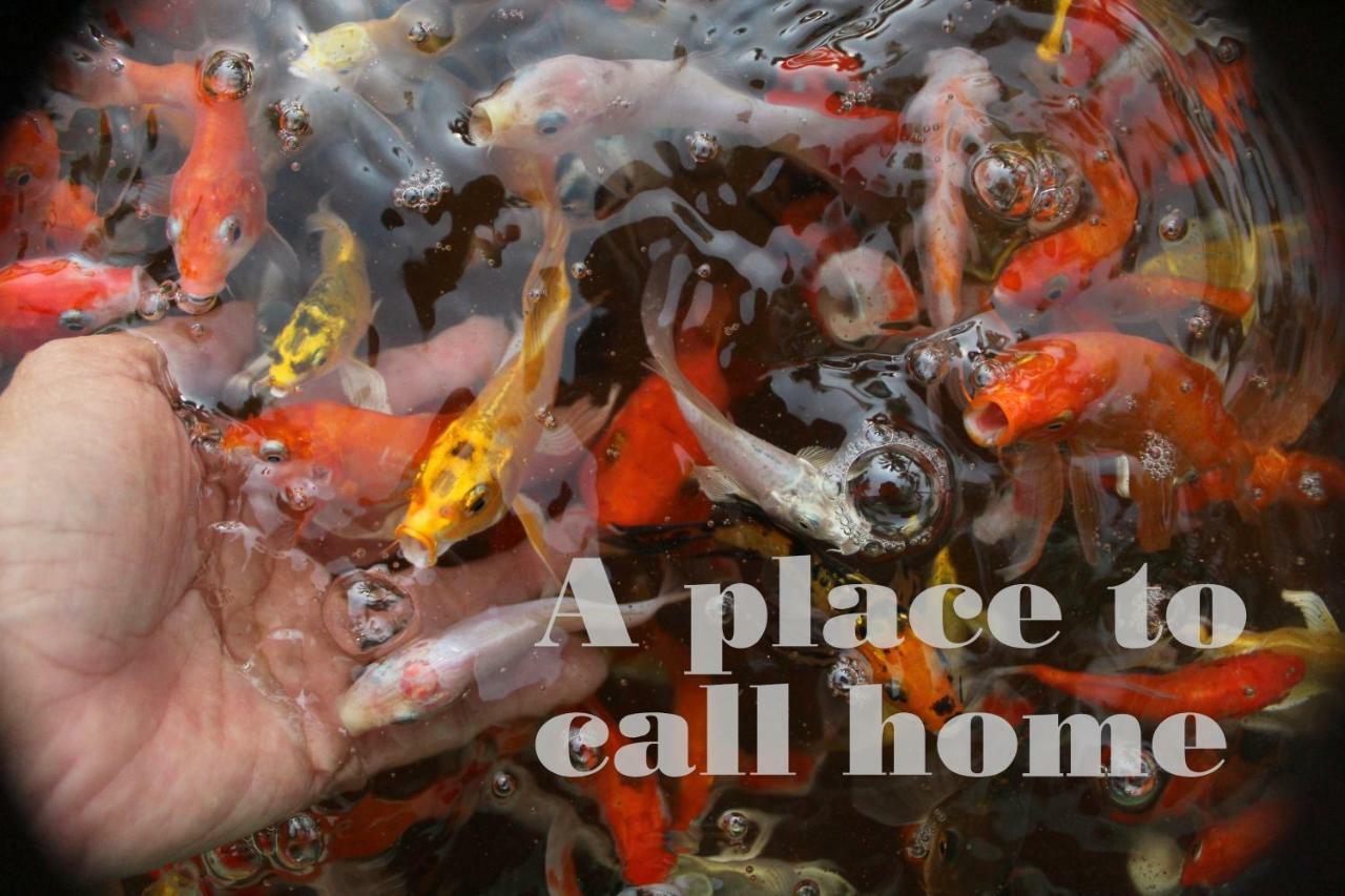 Thach Thao Homestay Mỹ Tho Zewnętrze zdjęcie