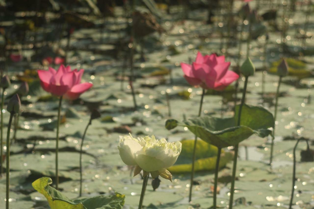 Thach Thao Homestay Mỹ Tho Zewnętrze zdjęcie