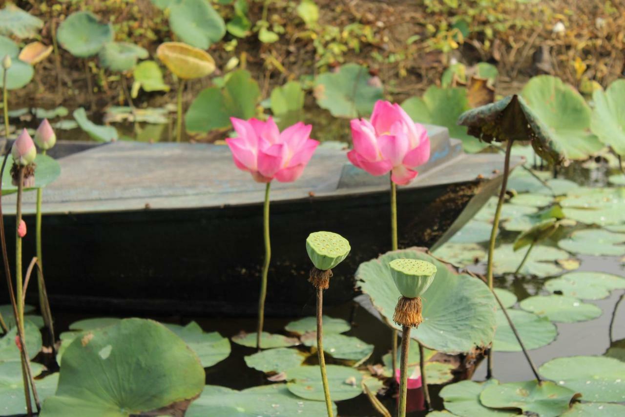Thach Thao Homestay Mỹ Tho Zewnętrze zdjęcie